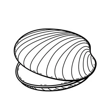 Hand drawn sketch sea shell- 7 Stock Illustration