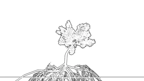 Hand Drawn Sketch Tree Ground Roots Line Art Stock Footage 346444892