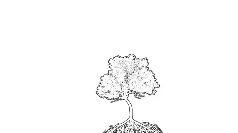 Hand Drawn Sketch Tree With Roots Line Art Stock Footage 346444893