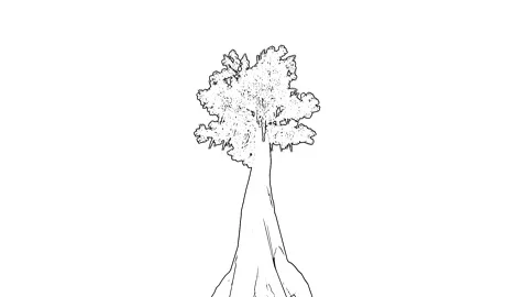 Hand Drawn Sketch Tree Sparse Roots Line Art Stock Footage 346444982