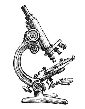 Hand drawn sketch vintage microscope. Medical tests, chemical laboratory concept Stock Illustration