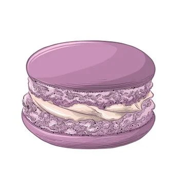 Hand drawn sketch of violet macaron in color isolated on white background Stock Illustration