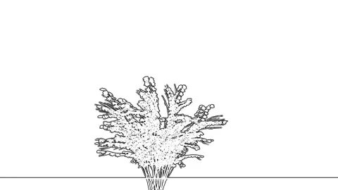Hand Drawn Sketch Wheat Bundle Line Art White Stock-Footage 346444520