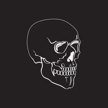 Hand Drawn skull vector illustration or symbol Stock Illustration