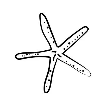 Hand drawn slender starfish vector illustration line art sea life element Stock Illustration