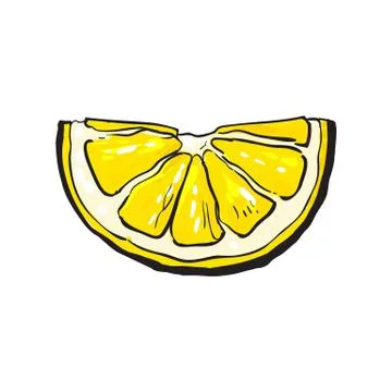 Hand drawn slice of lemon, isolated vector illustration Illustrazione stock