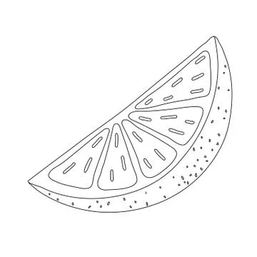 Hand drawn slice of lemon with leaf, cartoon style, black outline, vector Illustrazione stock