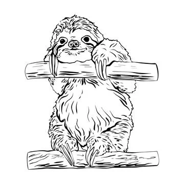Hand drawn sloth sitting on a branch in graphic style. Vector illustration Stock Illustration