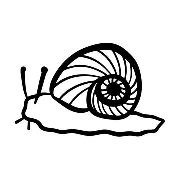 Hand drawn snail doodle with simple contours and shell spiral. Minimal anim.. Stock Illustration