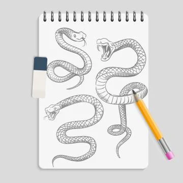 Hand drawn snakes on realisic notebook page with pencil and eraser Stock Illustration