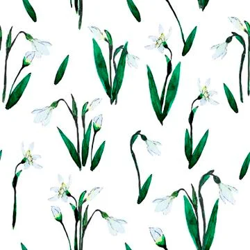 Hand drawn snowdrops seamless pattern Stock Photos