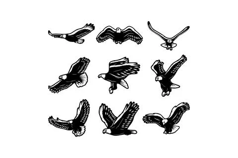 Hand-drawn soaring eagle illustrations set. Vector icon design. Stock Illustration