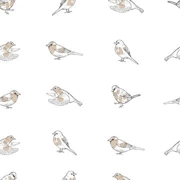 Hand drawn sparrows. Vector  seamless pattern Stock Illustration