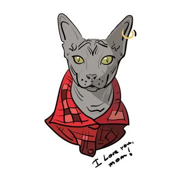 Hand-drawn Sphynx cat in a red checkered shirt and a gold earring with a ring in Stock Illustration