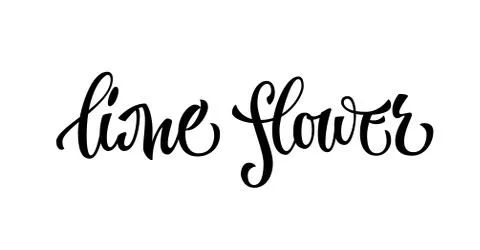 Hand drawn spice label - Lime flower. Stock Illustration