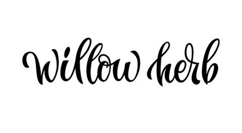 Hand drawn spice label - Willow herb. Stock Illustration