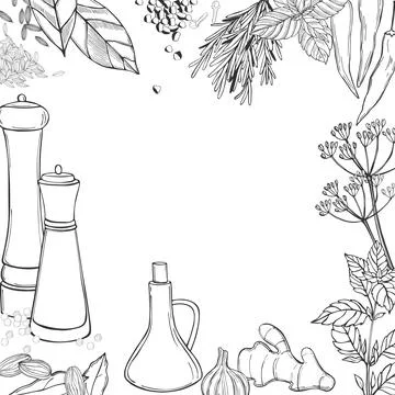 Hand drawn spice set. Vector  illustration. Stock Illustration