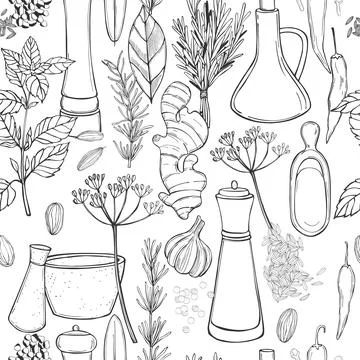 Hand drawn spice set. Vector  illustration. Stock Illustration