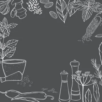 Hand drawn spice set. Vector  illustration. Stock Illustration