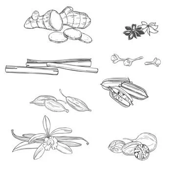 Hand drawn spices for dessert. Vector  illustration Illustrazione stock
