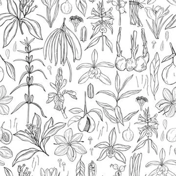 Hand drawn spices for dessert. Vector  pattern. Stock Illustration