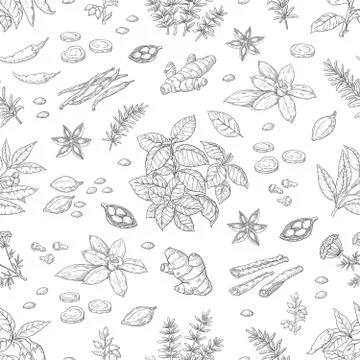Hand drawn spices pattern. Herbs and vegetables seamless background, Asian and Stock Illustration