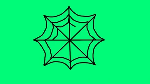 Hand drawn spider web animation appearing gradually with green screen backg.. Stock Footage 326165472