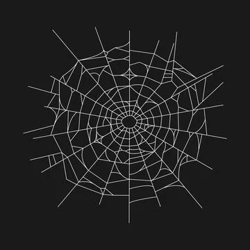 Hand drawn spider web on black background. Vector illustration 스톡 일러스트