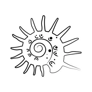 Hand drawn spiky spiral seashell vector illustration line art sea element イラスト素材