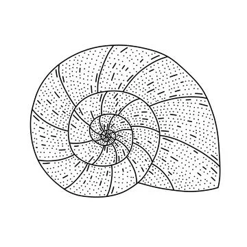 Hand drawn spiral seashell in doodle style. Isolated on white vector illustra Illustrazione stock