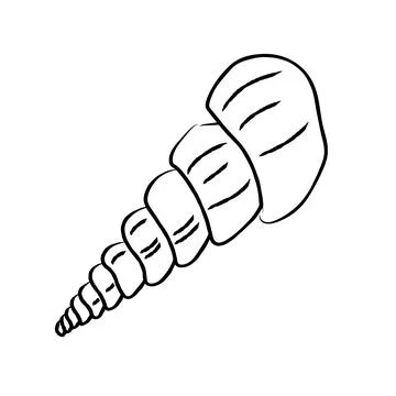 Hand drawn spiral seashell vector illustration line art sea element イラスト素材