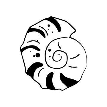 Hand drawn spiral shell with dots vector illustration line art element 스톡 일러스트
