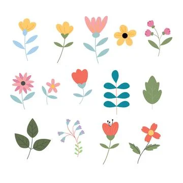 Hand-Drawn Spring and Summer Floral Collection with Wildflowers and Leaves. Stock Illustration