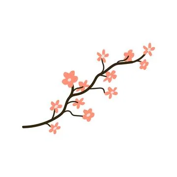 Hand drawn spring cherry blossom - sakura vector illustration Stock Illustration