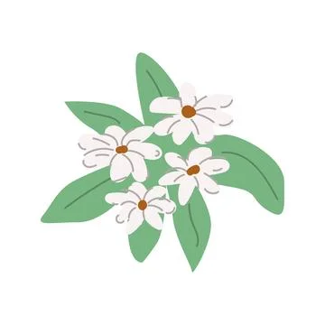 Hand drawn spring flower with leaves on branch vector illustration Stock Illustration