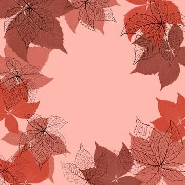 Hand drawn square frame background with fall autumn vine grale leaves. Red beige Stock Illustration