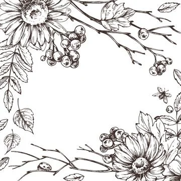 Hand drawn square illustration template featuring a fall bouquet of sunflowers Иллюстрация