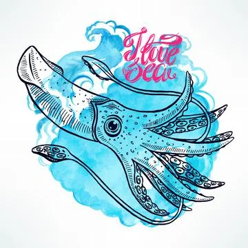 Hand-drawn squid Ilustración de archivo