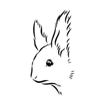 Hand drawn squirrel. Retro realistic animal isolated. Vintage style. Doodle l Stock Illustration