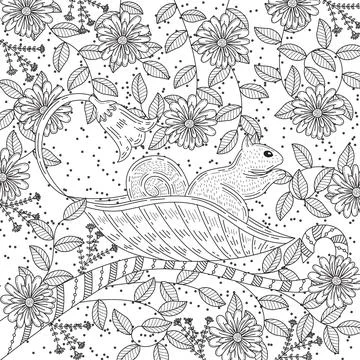 Hand drawn squirrel zentangle style for coloring book,tattoo,t shirt design,logo Stock Illustration