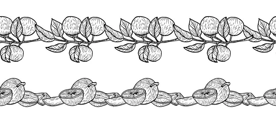 Hand drawn star apple border template vector illustration. Stock Illustration