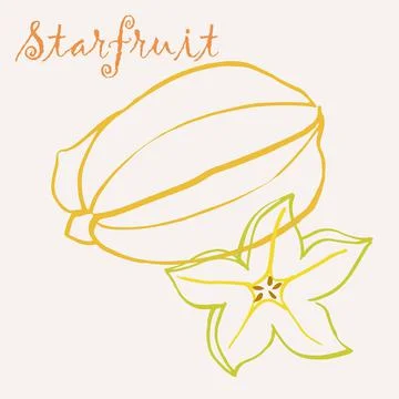 Hand drawn star fruit multicolor line art vector illustration. Colorful line  Stock Illustration