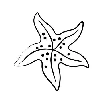 Hand drawn starfish with dots vector illustration line art sea life element Stock Illustration