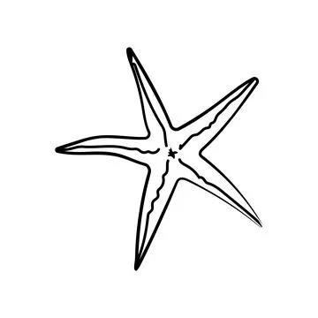 Hand drawn starfish vector illustration line art sea life element Stock Illustration