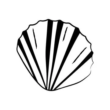 Hand drawn striped scallop seashell vector illustration line art element イラスト素材