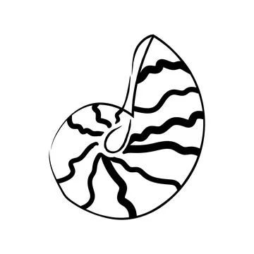 Hand drawn striped spiral shell vector illustration line art sea element イラスト素材
