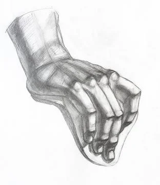 Hand-drawn study of plaster cast of male hand Stock Illustration