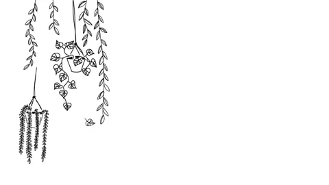 Hand drawn style animation with plants in flowerpots black and white loop Stock Footage 155185085