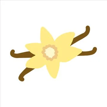 Hand drawn style vector illustration of vannila flower with bean pods. Isolat Stock Illustration