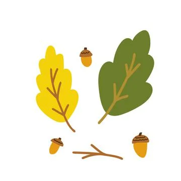 Hand drawn style vector illustration set of green and yellow fall oak leaf and Stock Illustration